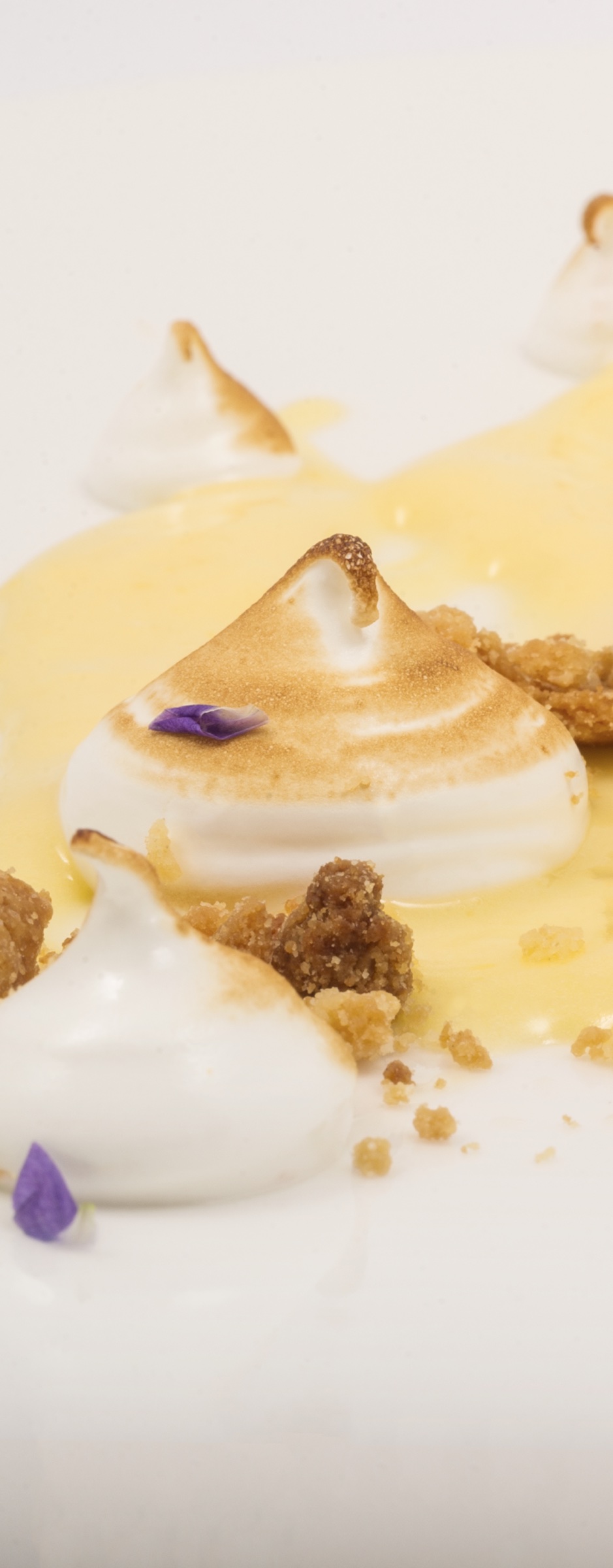 Lemon and torched meringue culinary still life