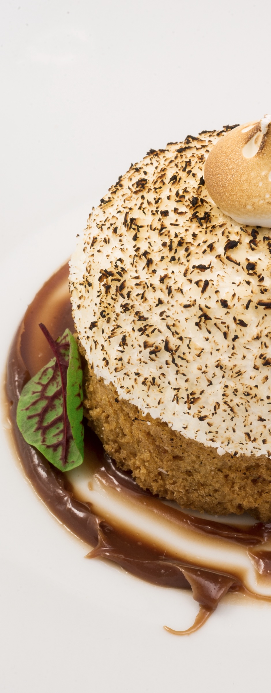 Torched meringue dessert photographed in close detail